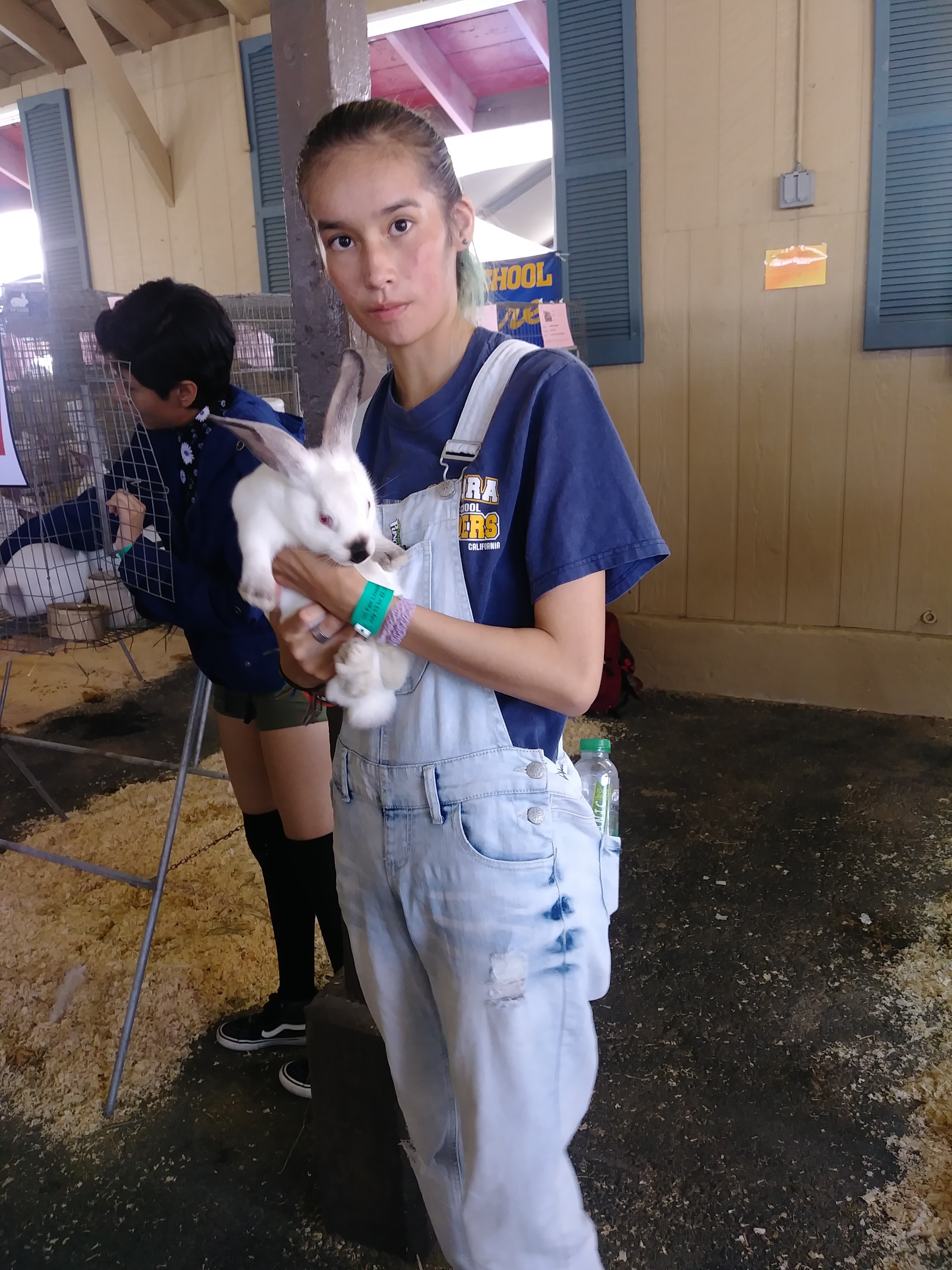 地元の中学生がボランティアで動物たちの世話を。